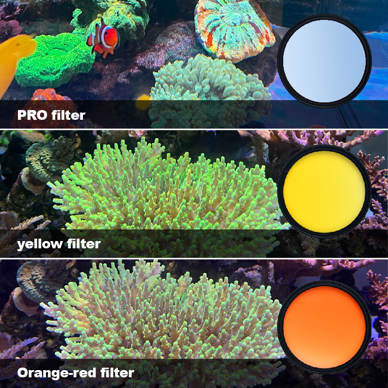 Vastocean marine tank filter s - đánh giá và giá Photo Develop Tank