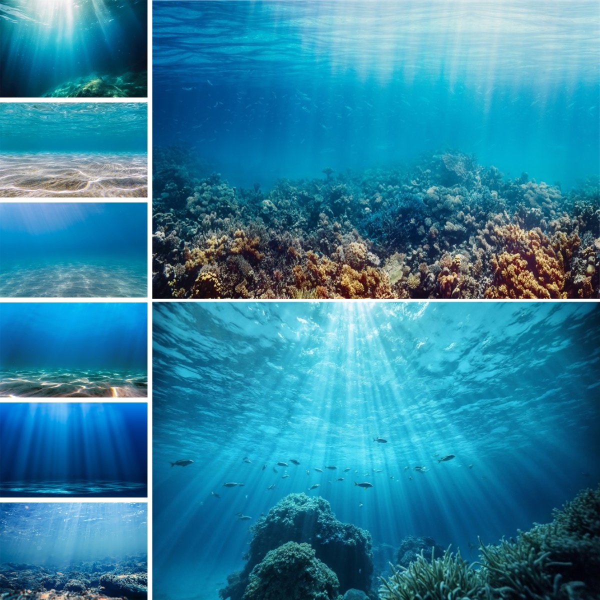 Blue Underwater World Backdrop - đánh giá và giá Photo Develop Tank